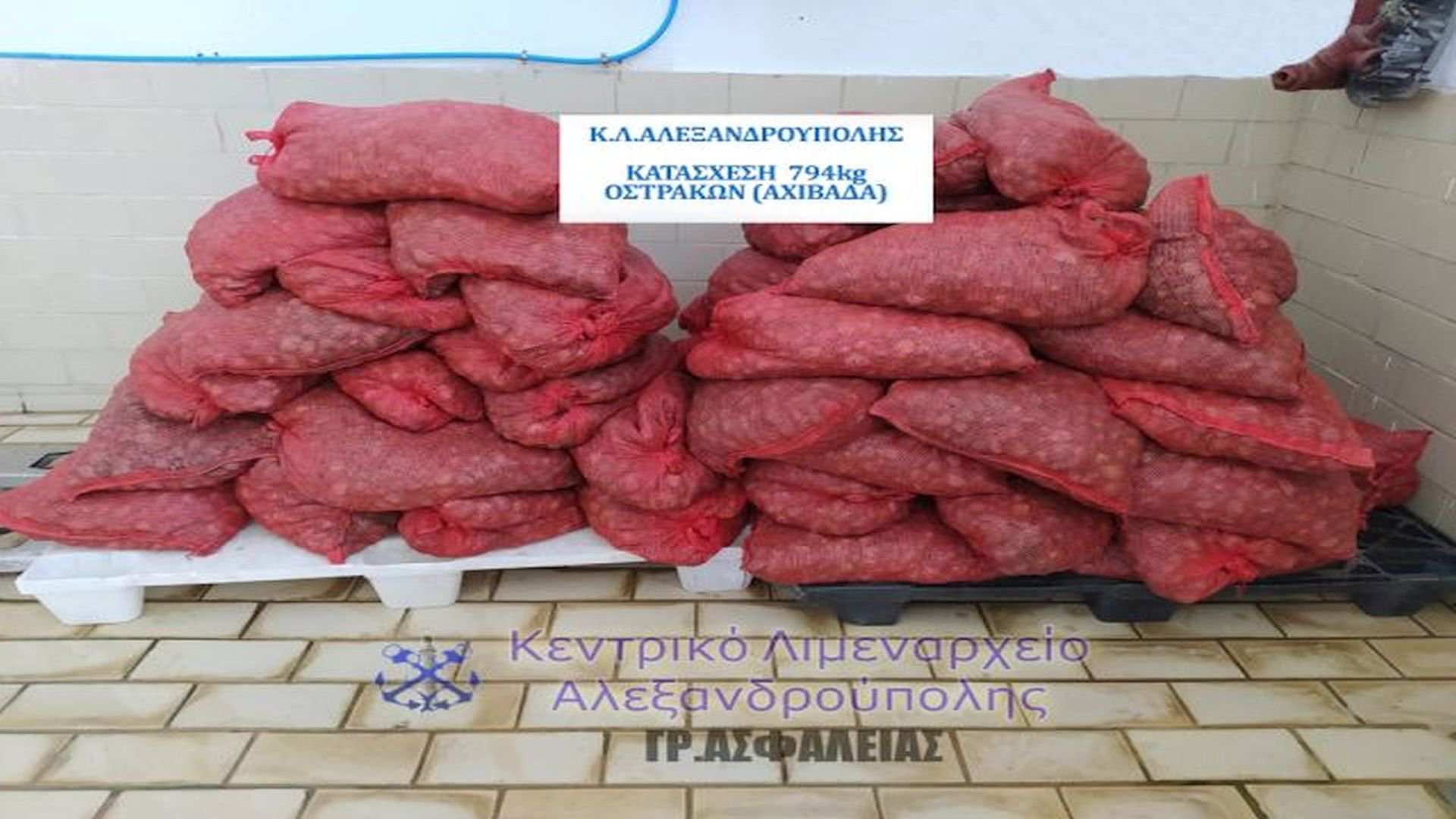 Λαθρεμπορία οστράκων ΚΛ Αλεξανδρούπολης
