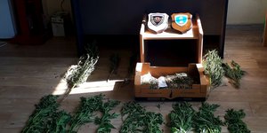 Σύλληψη ημεδαπού για ναρκωτικά στην Κέρκυρα