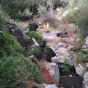 Σύλληψη ημεδαπού για ναρκωτικά στην Κέρκυρα