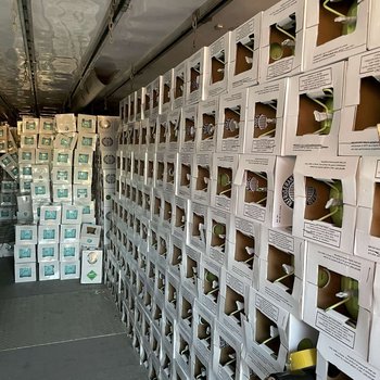 Εντοπισμός και κατάσχεση 17.200 κιλών φθοριούχων αερίων/ψυκτικών υγρών παράνομης διακίνησης σε 1.352 φιάλες μίας χρήσεως στον Ασπρόπυργο Αττικής