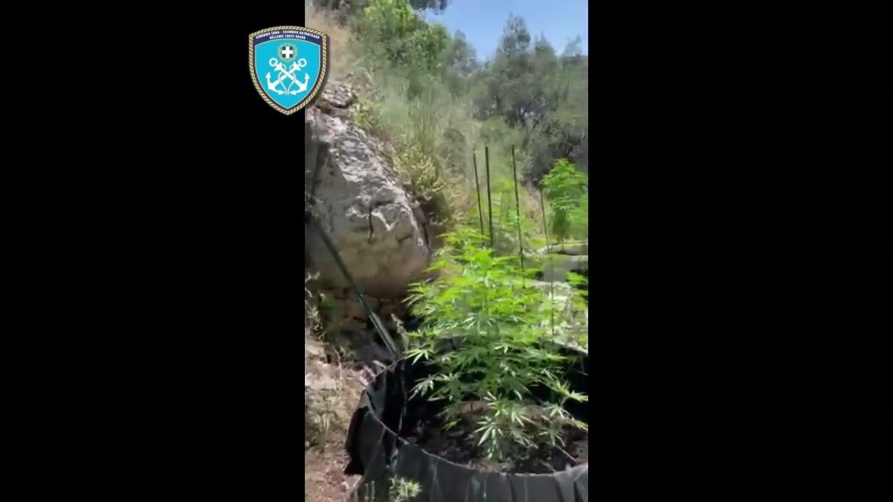 Σύλληψη ημεδαπών για ναρκωτικά στην Κέρκυρα