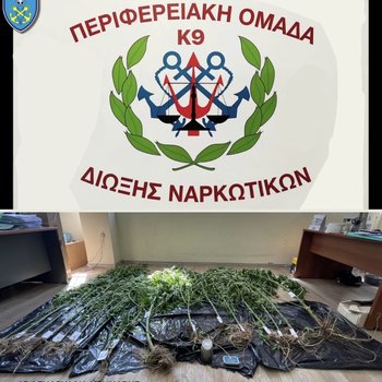 Kerkyra_dendrylia