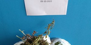 narkwtikaKavala09.10.22