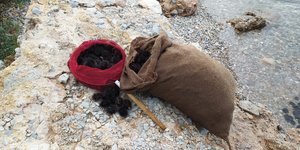 ΑΧΙΝΟΙ