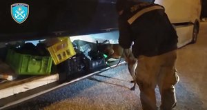 Σύλληψη 59χρονου για κατοχή 11,540 κιλών κοκαΐνης  στην Ηγουμενίτσα