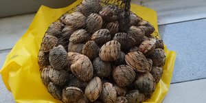 IMG_20230628_113935