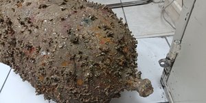 IMG_20230923_070025