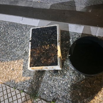 ΟΛΟΘΟΥΡΙΟΙ