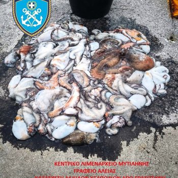 Εντοπισμός 33 αλλοδαπών και ανάσυρση μίας σορού στη Ρόδο - Τραυματισμός ναυτικού εντός Ε/Γ-Ο/Γ πλοίου στον Πειραιά - Αλιευτικός έλεγχος στη Μυτιλήνη - Διακομιδές ασθενών