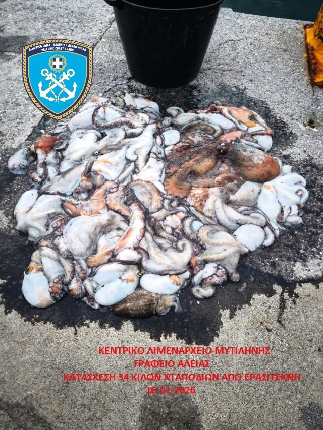 ΚΑΤΑΣΧΕΘΕΝΤΑ ΧΤΑΠΟΔΙΑ 16-01-26_