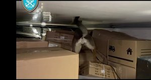 Εντοπισμός και κατάσχεση ναρκωτικών ουσιών αξίας 1.700.000 € και σύλληψη 2 ατόμων στην Πάτρα