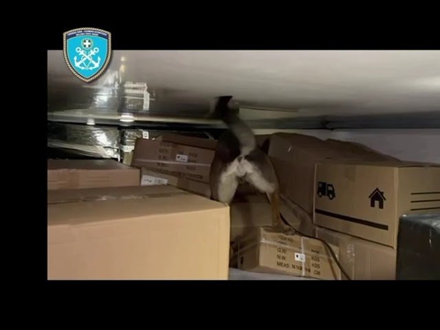 Εντοπισμός και κατάσχεση ναρκωτικών ουσιών αξίας 1.700.000 € και σύλληψη 2 ατόμων στην Πάτρα