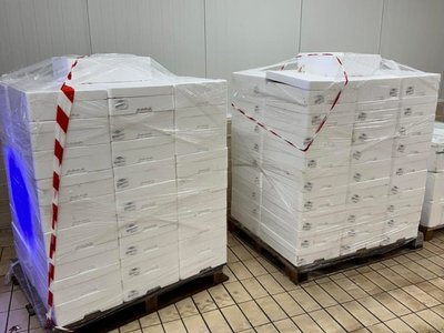 WhatsApp Image 2026-01-29 at 18.48.52