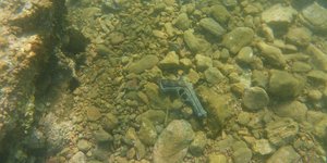 οπλο βολος 1