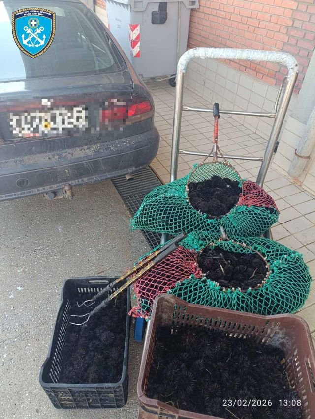 WhatsApp Image 2026-02-24 at 12.05.29