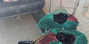 WhatsApp Image 2026-02-24 at 12.05.29