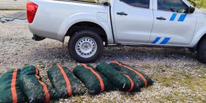 αχινοι χαλκιδα