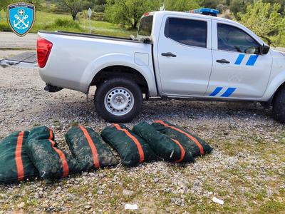 αχινοι χαλκιδα