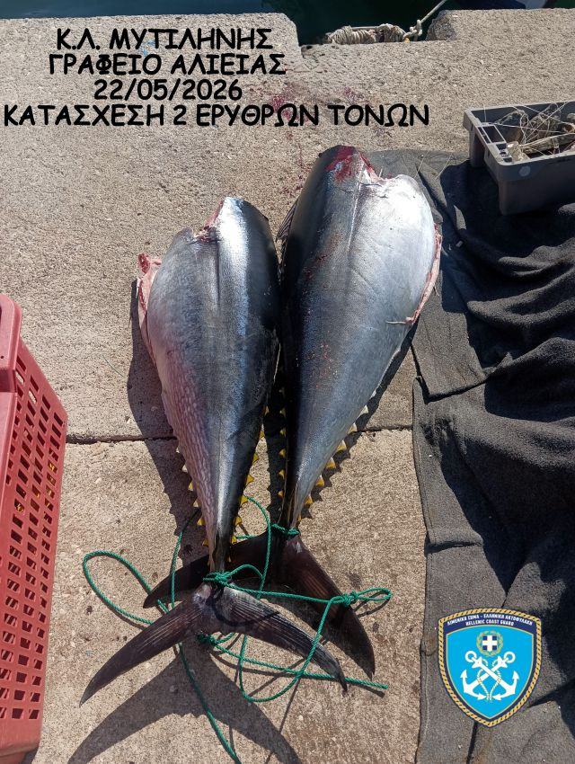 ΚΑΤΑΣΧΕΣΗ ΕΡΥΘΡΩΝ ΤΟΝΩΝ 22-05-2026