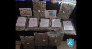Κατάσχεση άνω των 10,5 κιλών ακατέργαστης κάνναβης (skunk) στον Πειραιά και σύλληψη 21χρονου