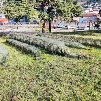 ΦΩΤΟ ΙΧΘΥΟΠΑΓΙΔΕΣ 06-10-2026 ΣΤΥΛΙΔΑ