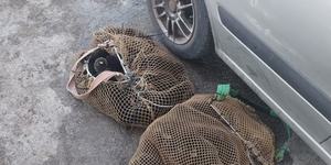 IMG_20261009_090537