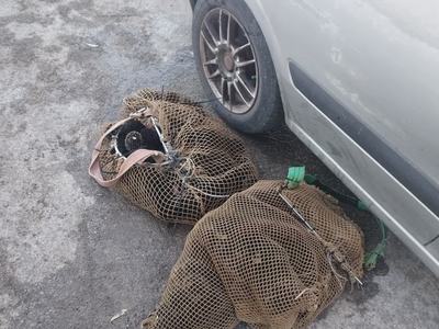 IMG_20261009_090537
